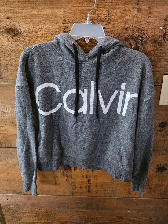 Calvin Klein Tops - Calvin Klein Dark Gray Cropped Logo Hoodie